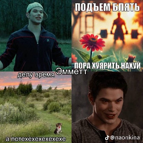 ПОДЪЕМ БЛЯТЬ ПОРА КУЯРИТЬ НАХУЙ делу время Эмметт а потехехехехехехе @naonkina