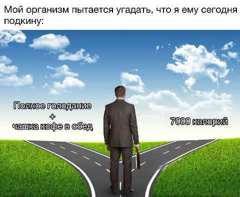 Мой организм пытается угадать, что я ему сегодня