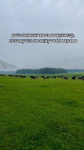 ром записываюсыьк®окулистуя потому/что]не]вижудтебя|вхраме) записываюсыкокулистул поломучтоневижудтебявхраме ; ie i Kista aegis № ae 9 записываюсыЫкокулистул поломучтоневижутебявхраме