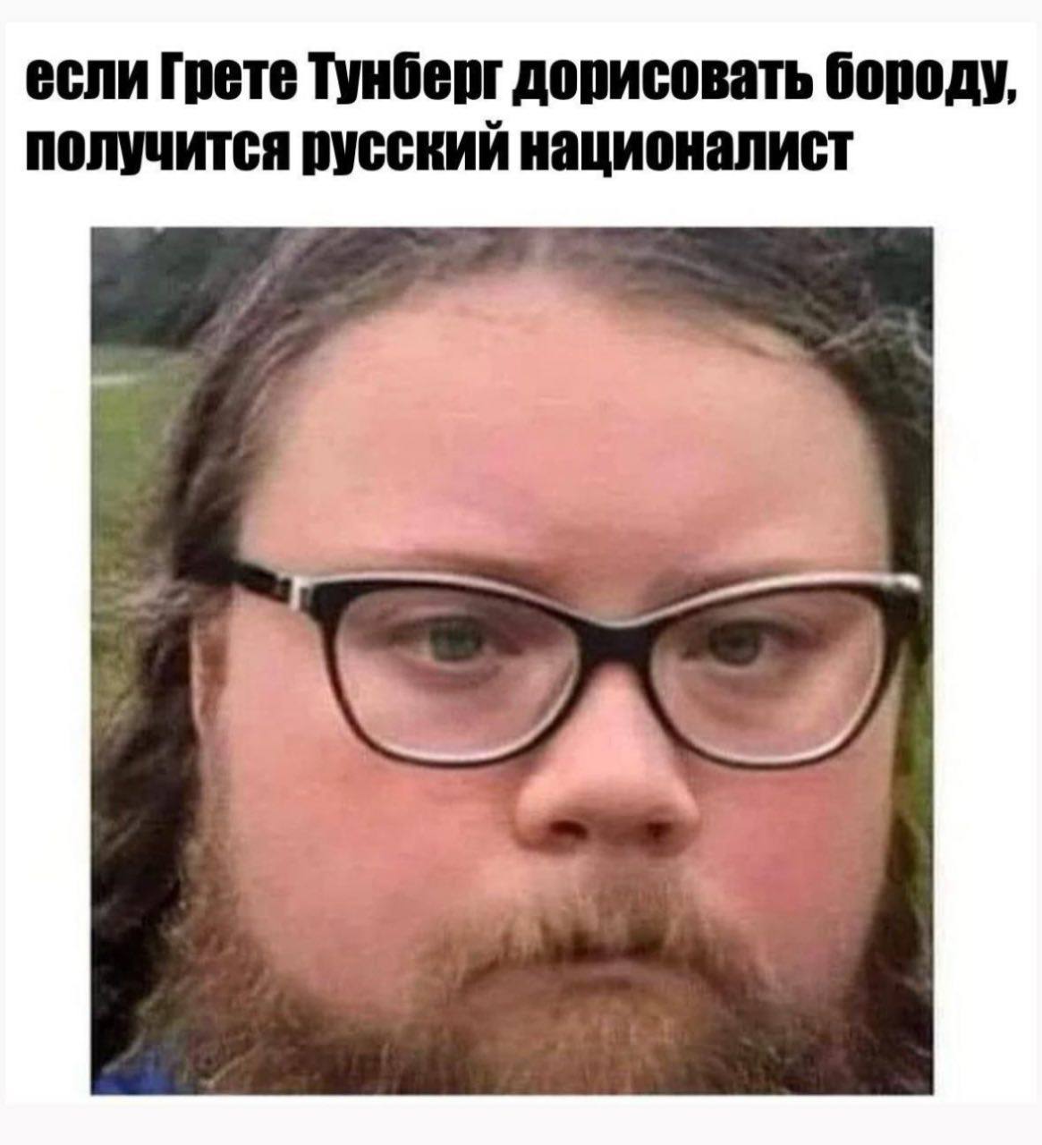 если [pete Тунберг дорисовать бороду, получится русский националист A.