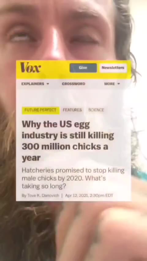 industry is still killing 300 million chicks a Hatcheries promised to stop killing