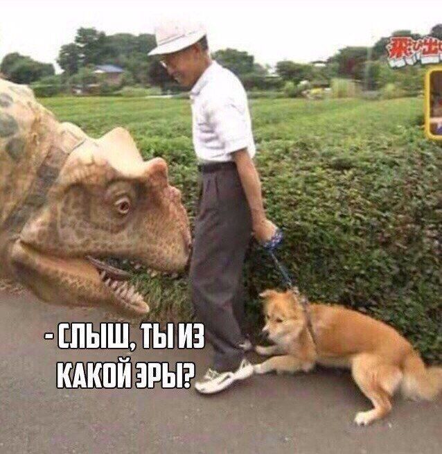 КАКОЙ