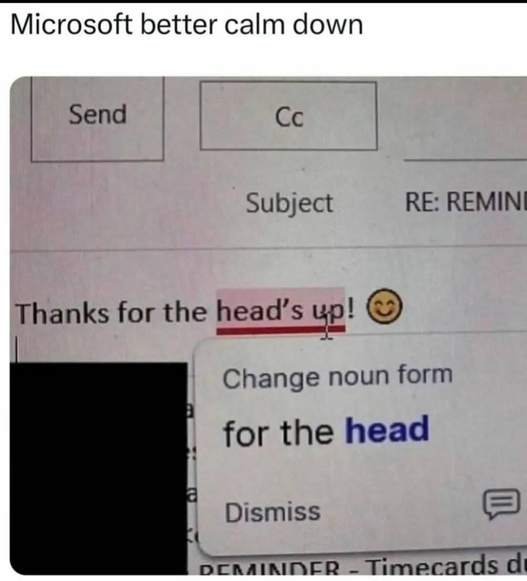 Microsoft better calm down Send REMINI Subject Thanks for the head’s up! Change noun form for the head Dismiss DERAIRINER Timecards