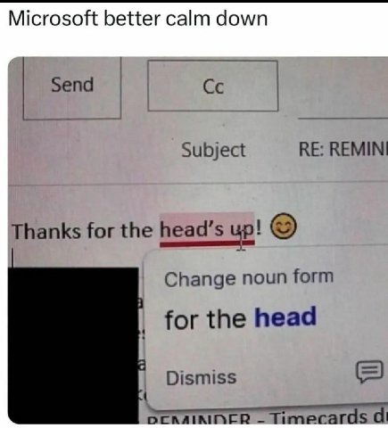 Microsoft better calm down Send REMINI Subject Thanks for the head’s up! Change noun form for the head Dismiss DERAIRINER Timecards