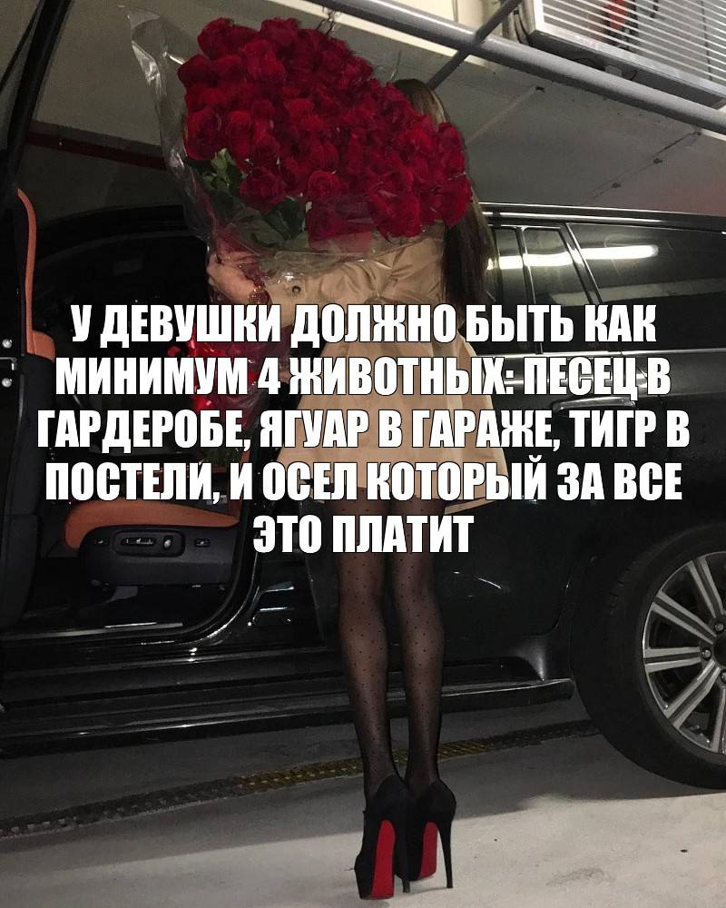 У ДЕВУШКИ ДОЛЖНО БЫТЬ КАК МИНИМУМ 4 ЖИВОТНЫХ: ПЕСЕЦ-В ГАРДЕРОБЕ, ЯГУАР В ГАРАЖЕ ТИГР В ПОСТЕЛИ, И ОСЕЛ КОТОРЫЙ ЗА ВСЕ ЭТО ПЛАТИТ