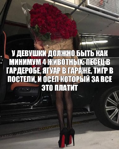 У ДЕВУШКИ ДОЛЖНО БЫТЬ КАК МИНИМУМ 4 ЖИВОТНЫХ: ПЕСЕЦ-В ГАРДЕРОБЕ, ЯГУАР В ГАРАЖЕ ТИГР В ПОСТЕЛИ, И ОСЕЛ КОТОРЫЙ ЗА ВСЕ ЭТО ПЛАТИТ