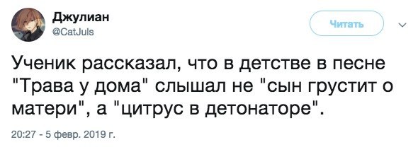 Джулиан @CatJuls Ученик рассказал, что в детстве в песне "Трава у дома" слышал не "сын грустит о матери", а "цитрус в детонаторе". 20:27 5 февр. 2019