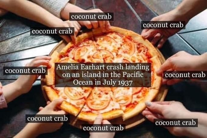 coconut crab coconut Amelia Earhart crash landing coconut crab on an island in the Pacific crab Ocean in July 1937 coconut crab coconut crab crab
