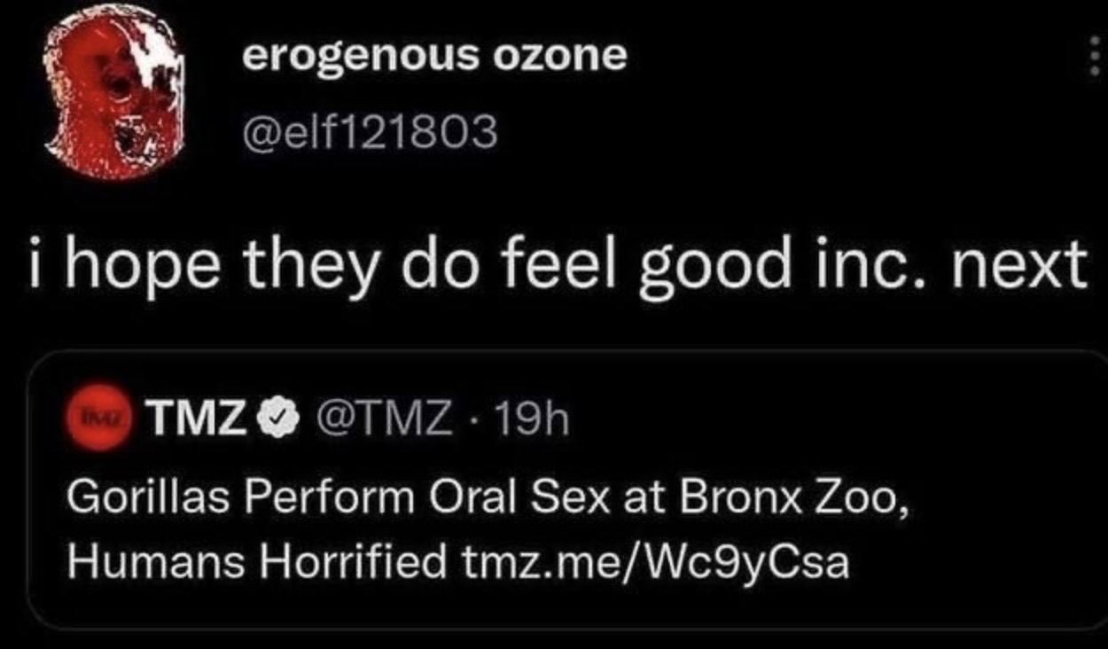 erogenous ozone @elf121803 hope they feel good inc. next Gorillas Perform Oral Sex at Bronx Zoo, Humans Horrified tmz.me/Wc9yCsa