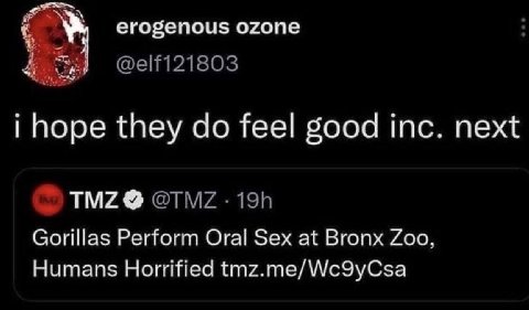 erogenous ozone @elf121803 hope they feel good inc. next Gorillas Perform Oral Sex at Bronx Zoo, Humans Horrified tmz.me/Wc9yCsa