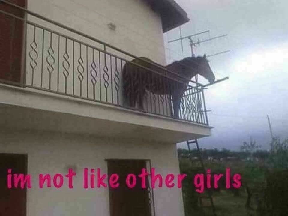 у a 3