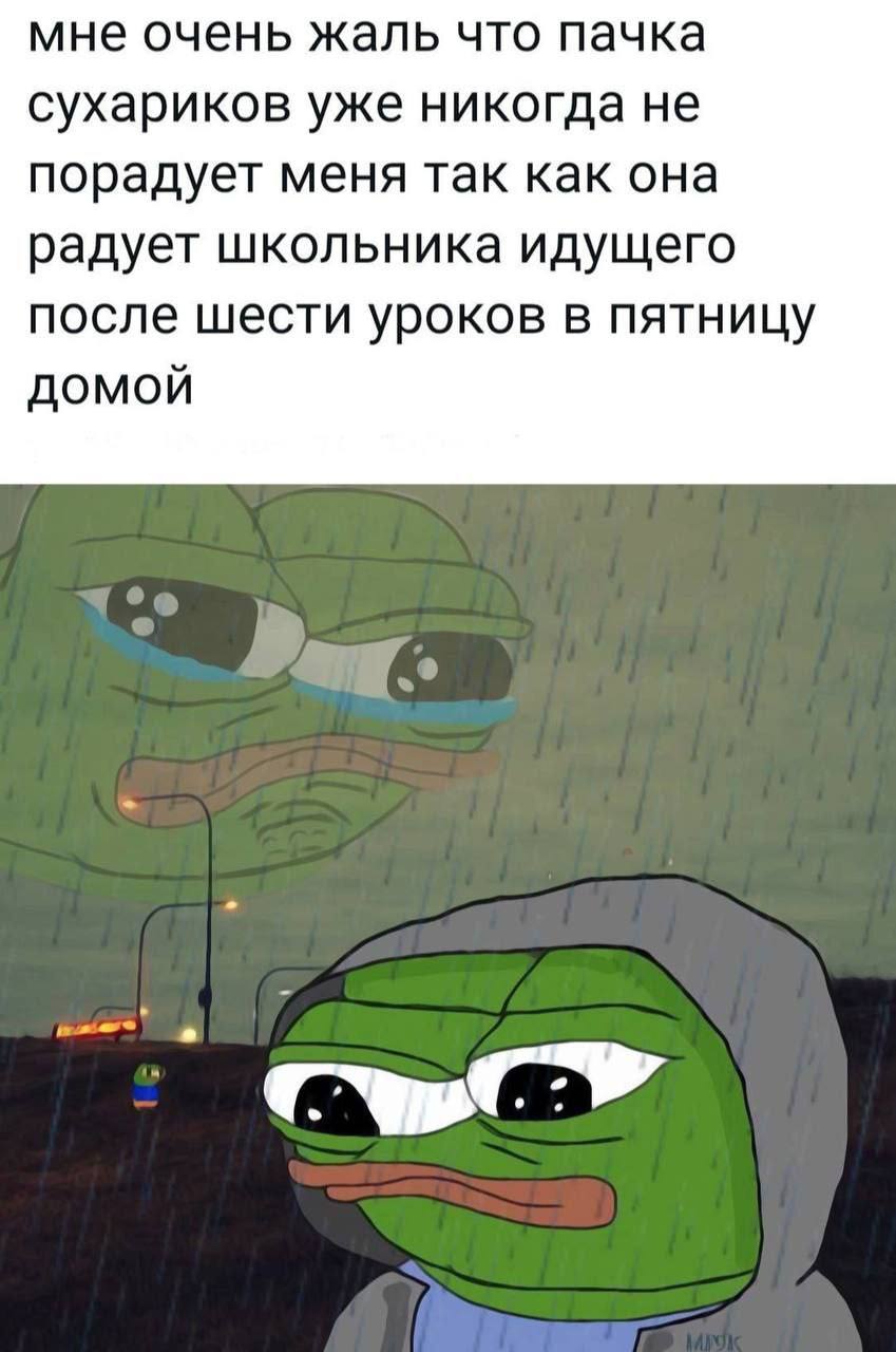мне очень жаль что пачка сухариков уже никогда не порадует меня так как она радует школьника идущего после шести уроков в пятницу ДОМОЙ