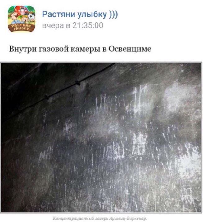 Растяни улыбку Внутри газовой камеры в Освенциме Bat. у 8: