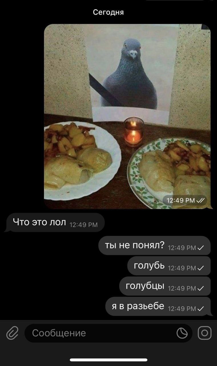 Сегодня 12:49 PMY Что это лол ты не понял? голубь голубцы я в разьебе