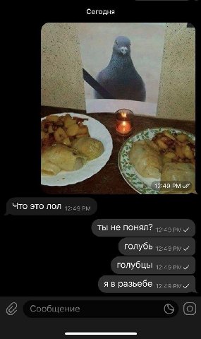 Сегодня 12:49 PMY Что это лол ты не понял? голубь голубцы я в разьебе