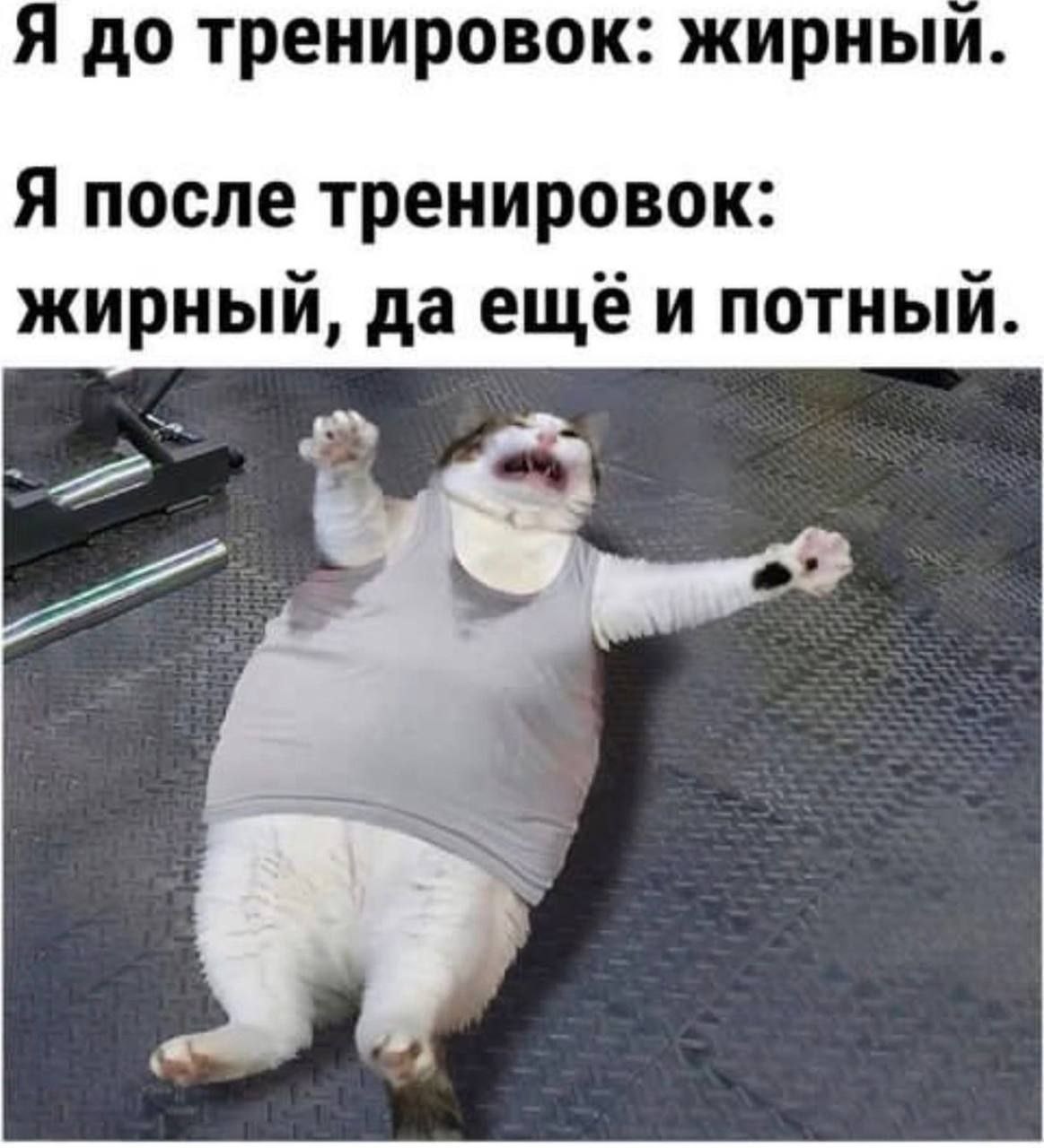 до тренировок: жирный Я после тренировок: жирный, даещё и потный