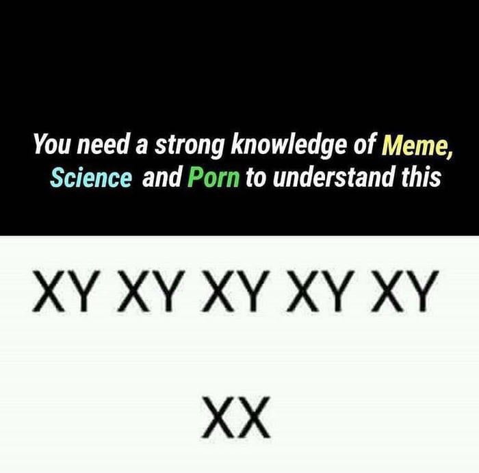 You need a strong knowledge of Meme, Science and Porn to understand this