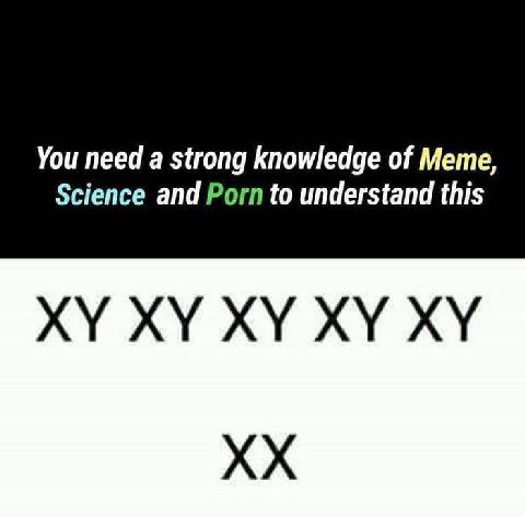 You need a strong knowledge of Meme, Science and Porn to understand this