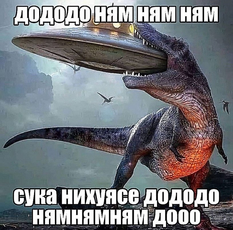 0 HAM HAM tess A> сука нихуясе дододо HAMHAMHAM