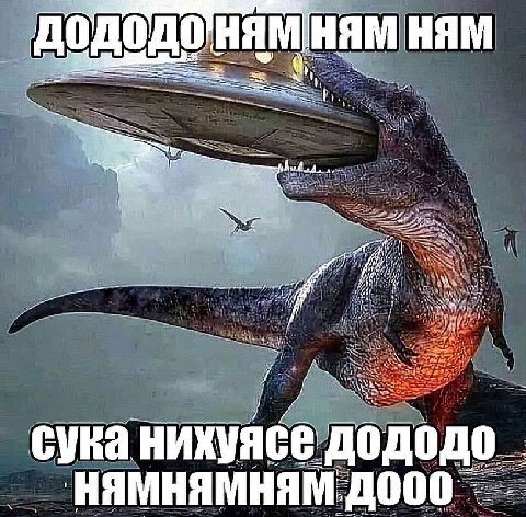 0 HAM HAM tess A> сука нихуясе дододо HAMHAMHAM