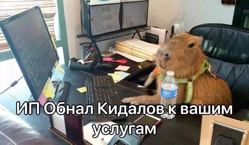 Обнал вашим