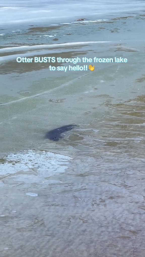 эг BUSTS through the frozenlake —