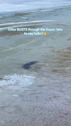 эг BUSTS through the frozenlake —