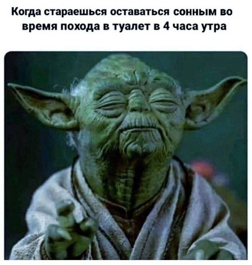 Когда стараешься оставаться сонным во время похода в туалет в 4 часа утра