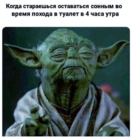 Когда стараешься оставаться сонным во время похода в туалет в 4 часа утра