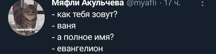 мяфли Акульчева как тебя зовут? ваня аполное имя? евангелион
