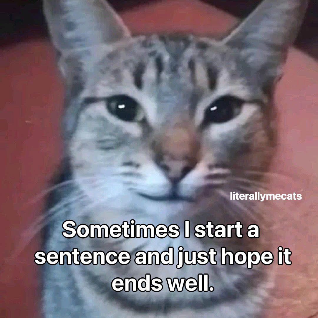 i> literallymecats Sometimes starta sentence and just hope it ends well.