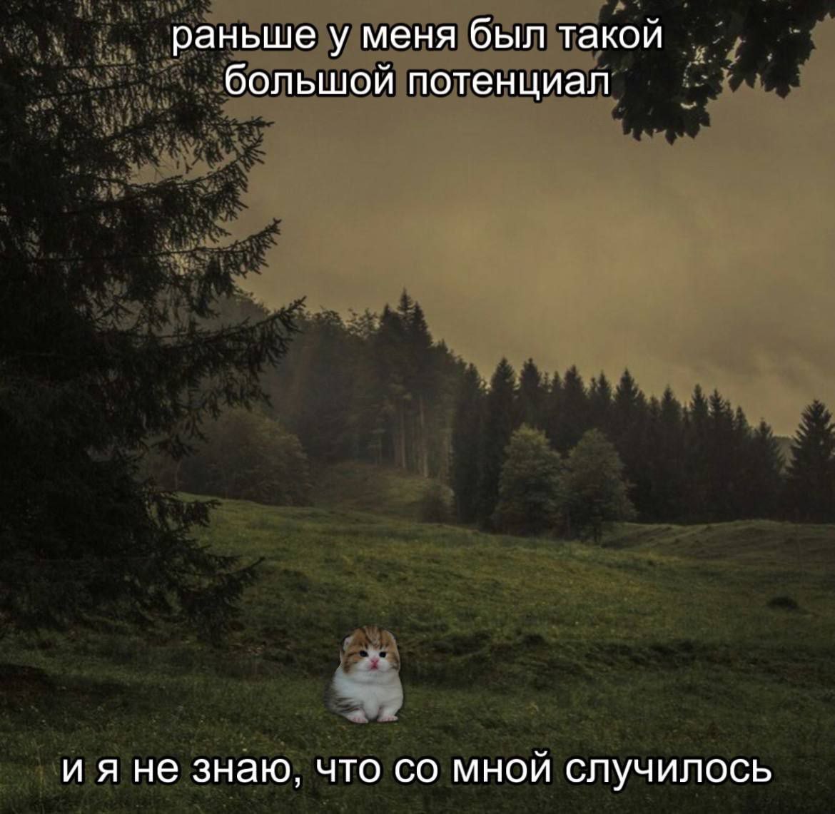 раньше у меня был такой большой потенциал ияне знаю, что мной случилось