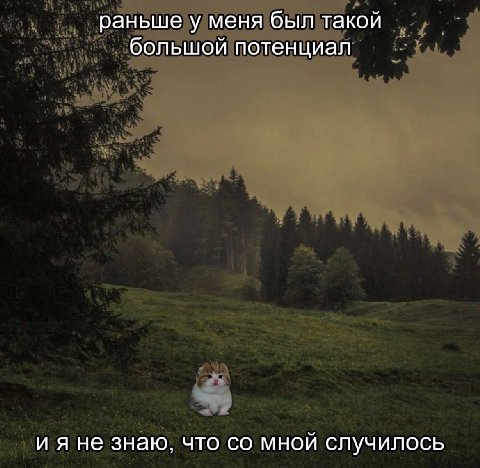 раньше у меня был такой большой потенциал ияне знаю, что мной случилось