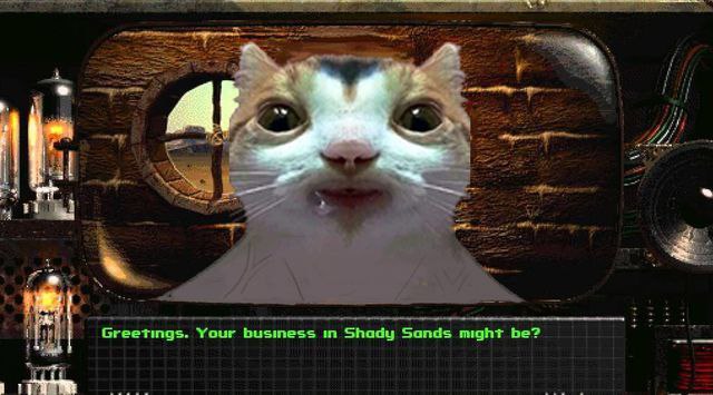 Greetings. Your business Shady Sands might be?