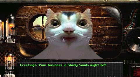 Greetings. Your business Shady Sands might be?