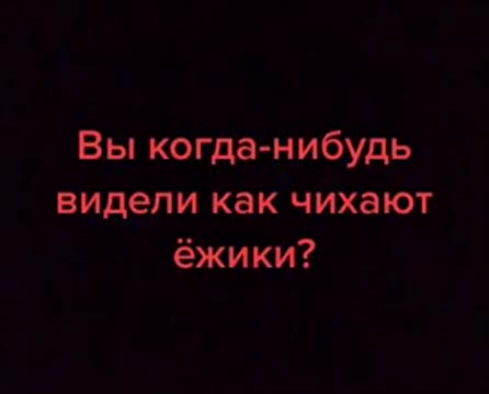Вы когда-нибудь видели как чихают