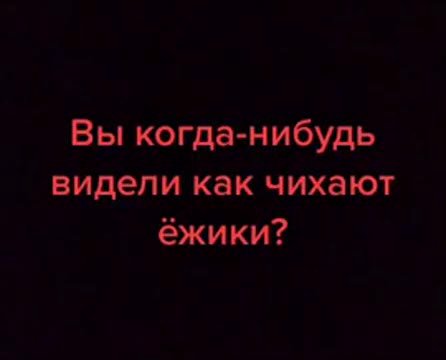 Вы когда-нибудь видели как чихают