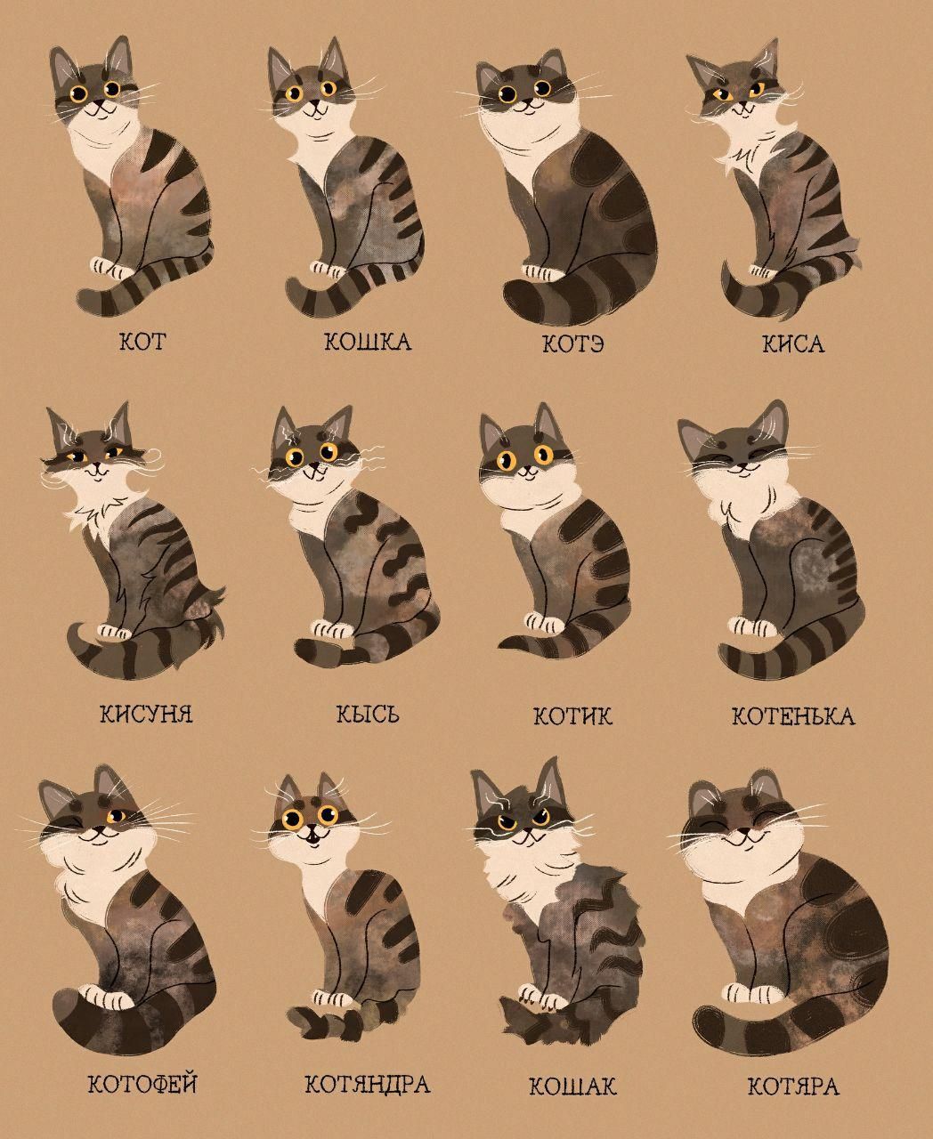 Che KOT КОШКА KOTS КИСА an КИСУНЯ КЫСЬ КОТИК КОТЕНЬКА а we КОТОФЕЙ КОТЯНДРА КОШАК КОТЯРА