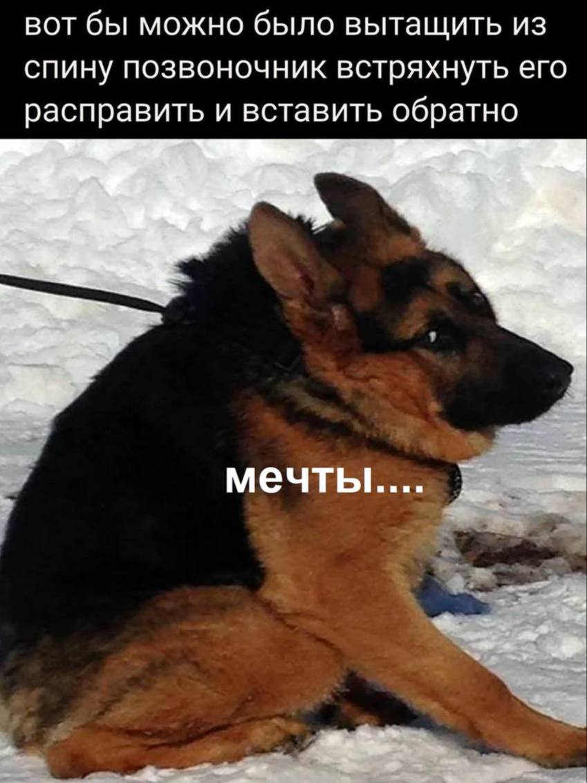 вот бы можно было вытащить из спину позвоночник встряхнуть его расправить и вставить обратно мечты......
