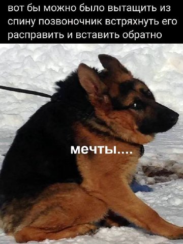вот бы можно было вытащить из спину позвоночник встряхнуть его расправить и вставить обратно мечты......