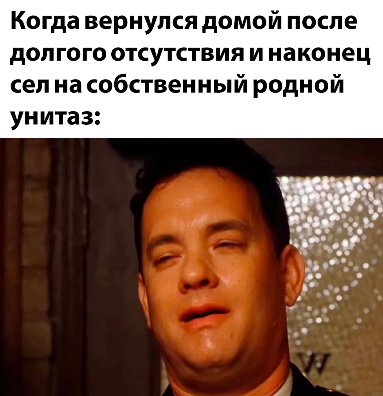Когда вернулся домой после долгого отсутствия и наконец родной унитаз: о о wee”