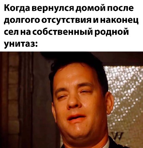 Когда вернулся домой после долгого отсутствия и наконец родной унитаз: о о wee”