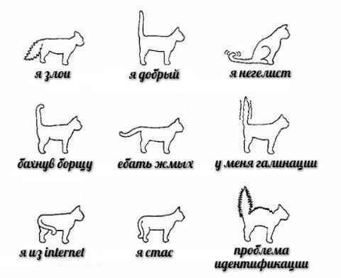 whi боршу ебать жмых меня галинации из