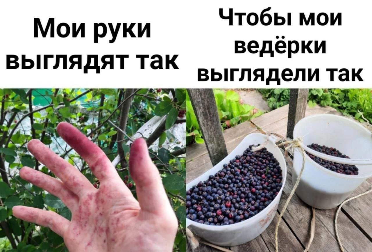 Чтобы мои Мои руки ведерки выглядят так вы гляд у tte #7 a у