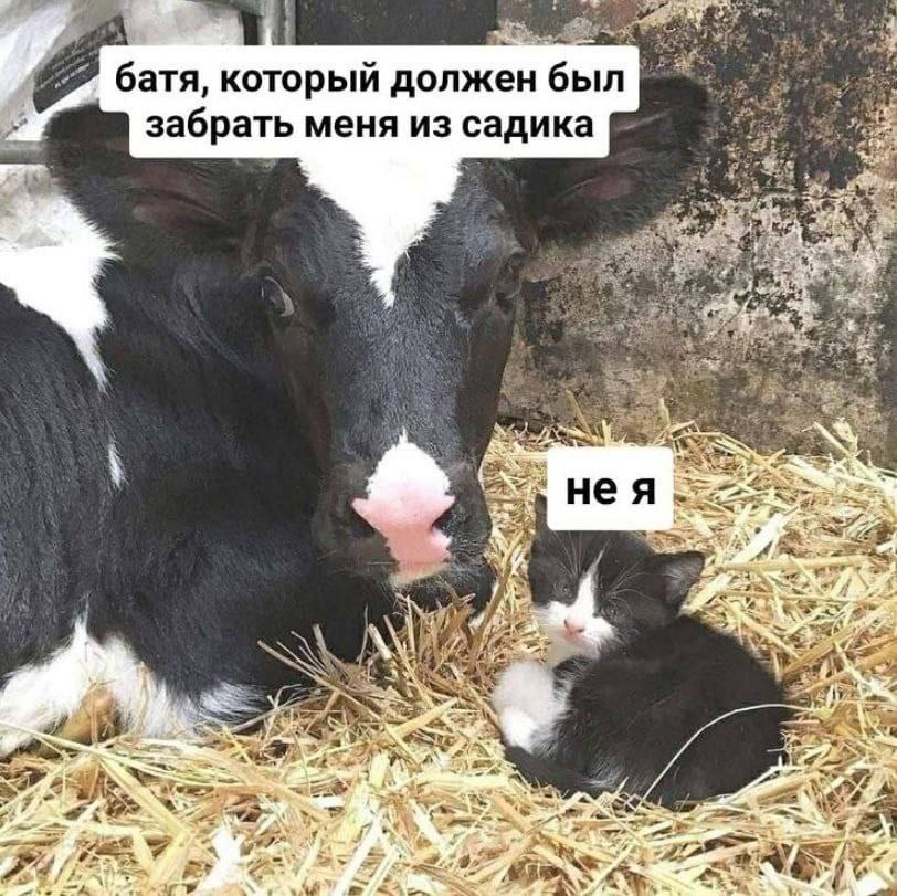 батя, который должен был забрать меня из садика 59 2$ нея 93 a а a я $7