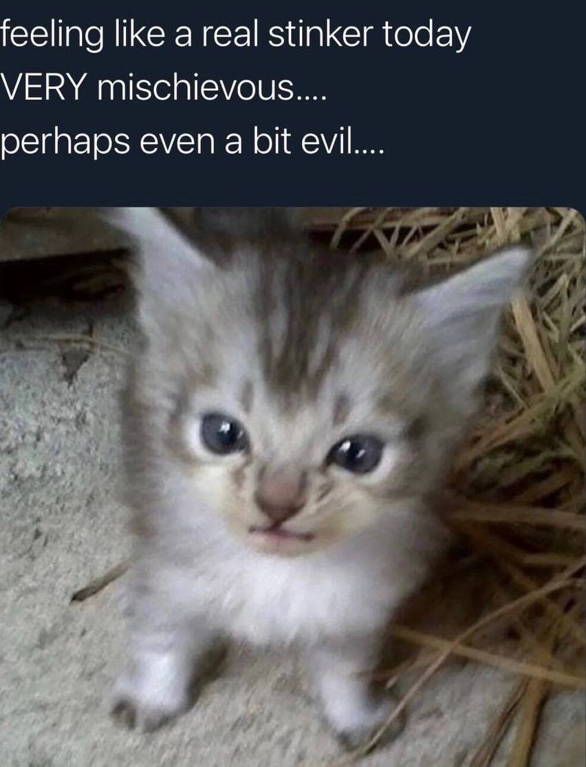 feeling like a real stinker today VERY perhaps even а bit evil