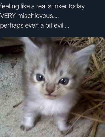 feeling like a real stinker today VERY perhaps even а bit evil