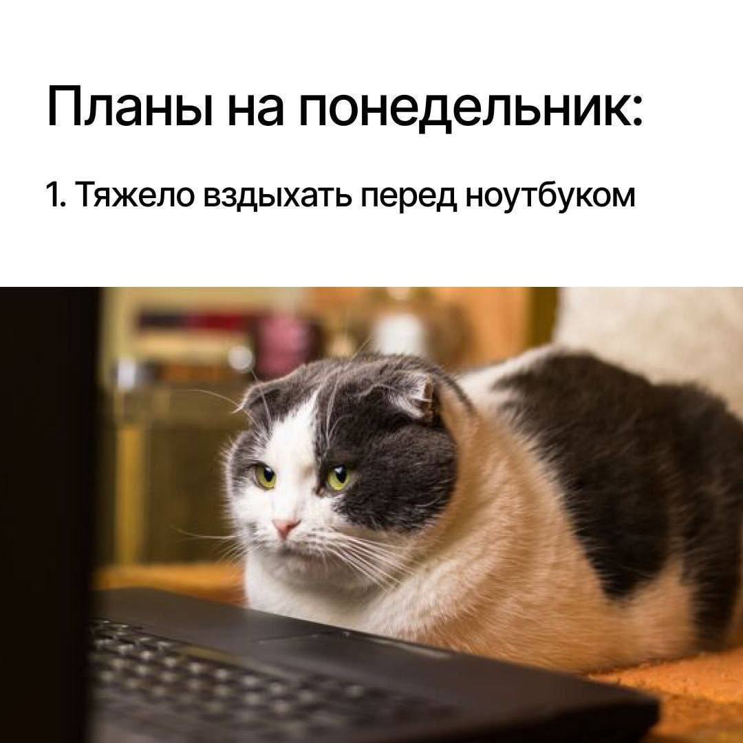 Планы на понедельник 1. Тяжело вздыхать перед ноутбуком 3