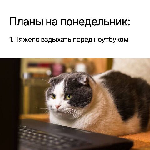 Планы на понедельник 1. Тяжело вздыхать перед ноутбуком 3