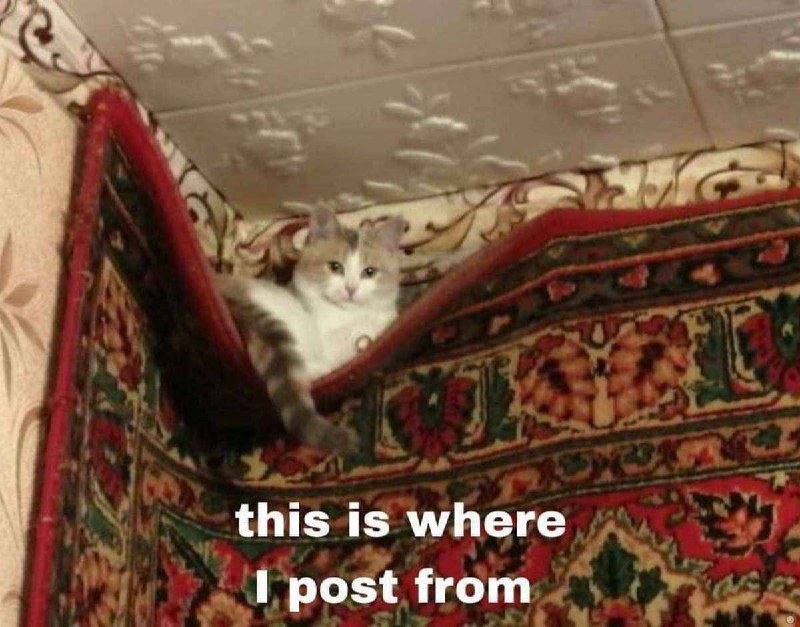 this is where post from